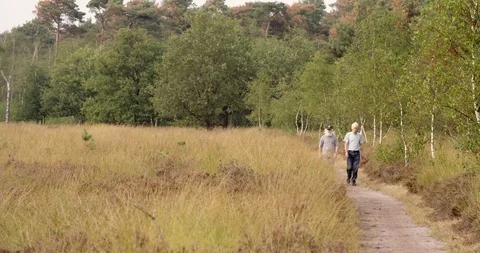 Two men walking together in nature heath and wood, the Netherlands Stock Footage 106385452