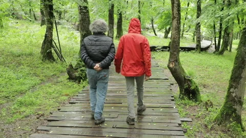 Two Men Walking on Wooden Path in Rainy Forest Stock Footage 342781675