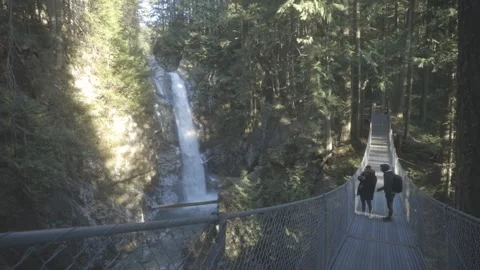 Two men watch Waterfall from Bridge Video stock 154327356