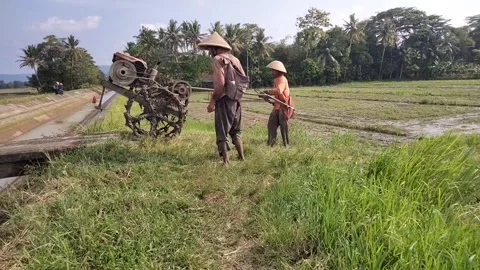 Two men were going to work in the fields to plow Stock Footage 240718009