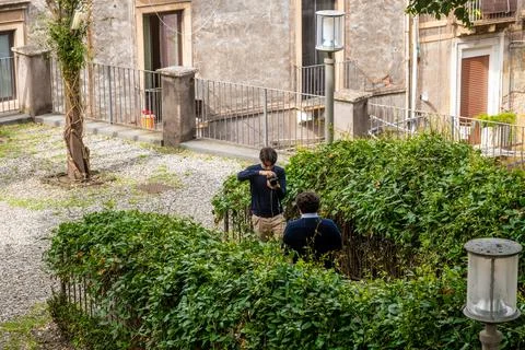 Two Men Working with Camera Behind Green Hedge 스톡 사진