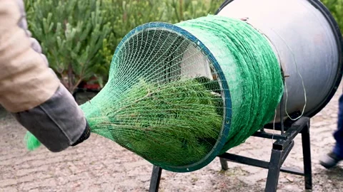 Two men wrap a Christmas tree in a special net Stock-Footage 221413075