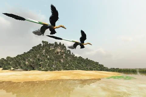 Two Microraptor dinosaurs fly over a wetland marsh in prehistoric times. Stock Illustration