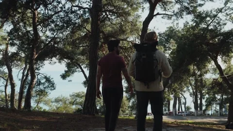 Two middle-aged guys are having a conversation and walking along a forest path Stock Footage 246300245