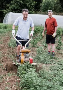 Two middle-aged men working in the garden with a tiller Stock-Fotos