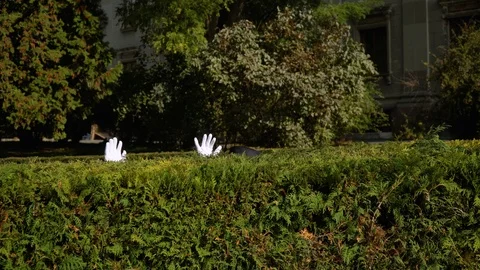 Two mimes on the park hiding behind bushes. Two actors theater on the park shows Video stock 125493342