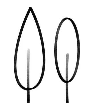 Two Minimal Black Tree Line Drawings Illustration Stock Illustration