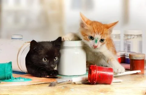 Two mischievous kittens played pranks on the artist's table Stock-Fotos