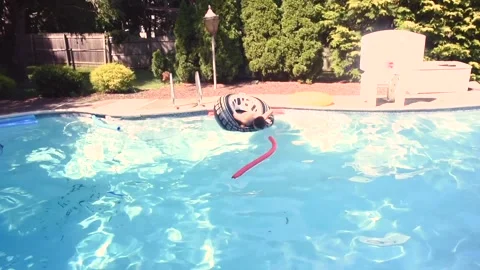Two mixed boys have a fun in the swimming pool Video stock 136491950