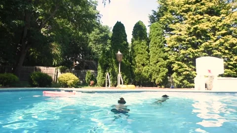 Two mixed boys have a fun in the swimming pool Stock Footage 136493005