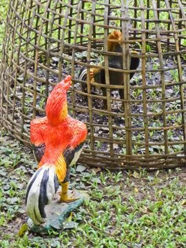 Two model fighting cocks Stock Photos