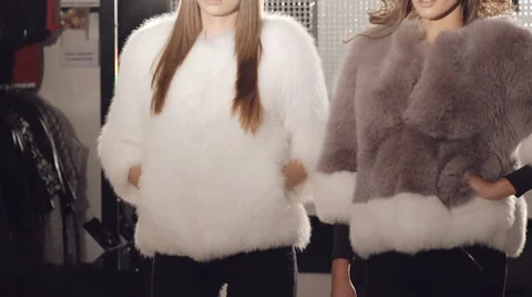 Two Foxes Models Stock Videos – Royalty-Free HD & 4K Videos | Pond5