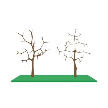 Two models of tree shape with a naked branches 3D Model