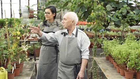 Two modern gardeners checking and keeping records of plants in greenhouse Stock Footage 122914364