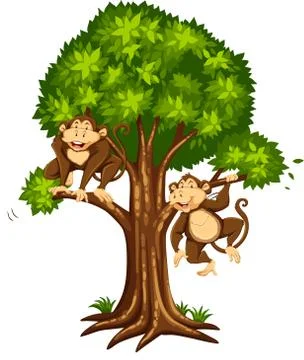 Two monkeys on the tree Illustrazione stock