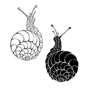 Two monochrome snails Stock Illustration