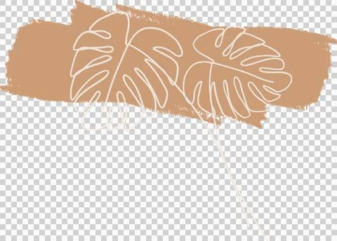 Two monstera leaves are floating in line art over tan brushstroke, transparent Stock Illustration