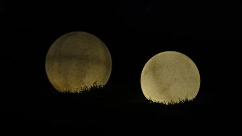 Two months Stock Photos