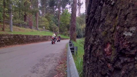 Two motobikers driving fast between trees Stock-Footage 75167161