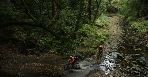 Two mountain bikers in the rain forest peddling below the camera Stock Footage 64328588
