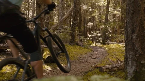 Two mountain bikers ride down a mossy single track trail in the mountains. Stock Footage 89022188