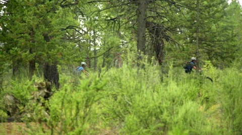 Two mountain bikers ride through think forest Stock Footage 59540234