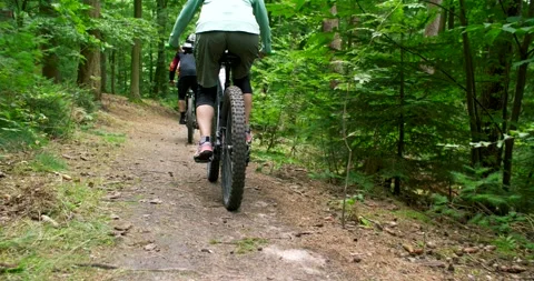 Two Mountain Bikers Riding Along Forest Trail, Green Woodland, Following Shot Vídeo Stock 340083964