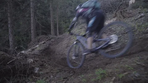Two mountain bikers riding on forest trail Stock Footage 85966092