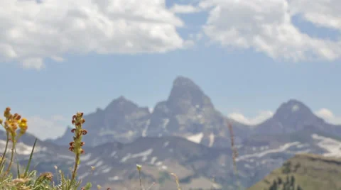 Two mountain bikers speed by a view of The Grand Teton mountain in Idaho Stock Footage 36319517