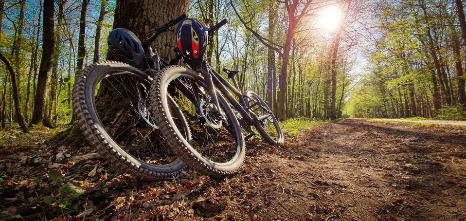 Two mountain bikes leaned on a tree next to a trail Stock Photos