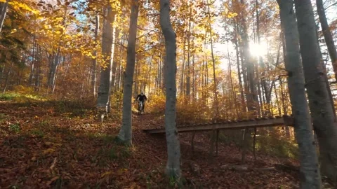 Two mountain cyclists riding MTB catching big air on mountain bikes trail forest Stock Footage 150883840