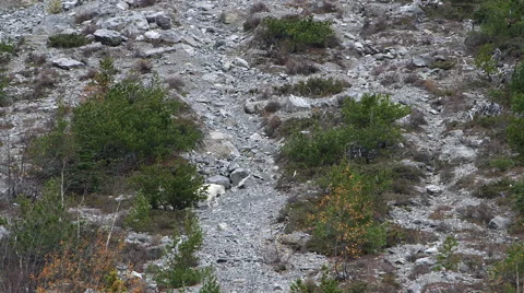 TWO MOUNTAIN GOATS WALK ALONG A ROCKY HILLSIDE Stock Footage 59069692