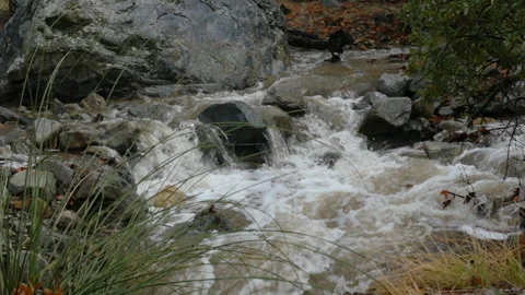 Two mountain streams coming together in slow motion Stock Footage 230299035