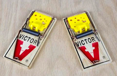 Two mouse traps Stock Photos