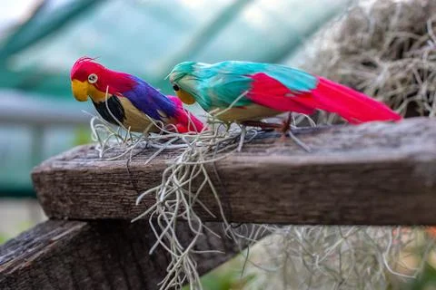 Two multi-colored toy parrots are sitting on a wooden beam. 写真素材