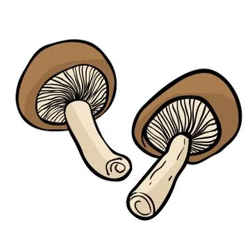 Two mushrooms Stock Illustration
