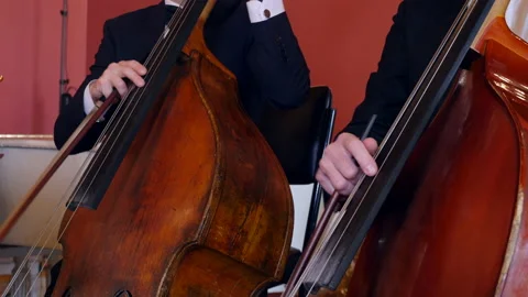 Two musicians play double basses in symphony orchestra, Close-up view Video stock 196935243