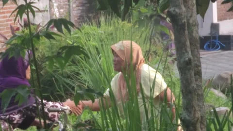 Two Muslim Women In Hijabs Talking Next To A Bicycle In A Rural Yard Stock Footage 340261401
