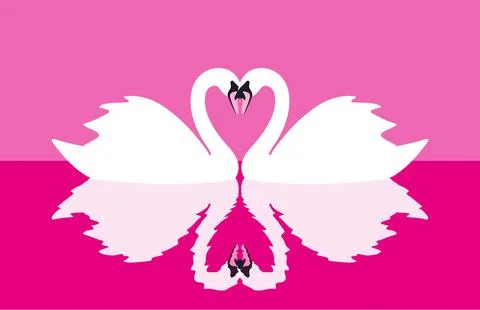 Two mute swans face to face swimming, reflection in water, vector illustratio Stock Illustration