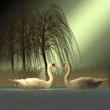Two Mute Swans Stock Illustration
