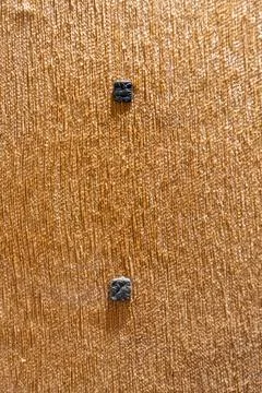 Two nails are on a brown surface. in Chennai Fotos Stock