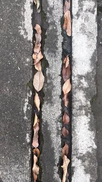 Two narrow vertical gaps in a weathered concrete wall are filled with dried b Foto stock
