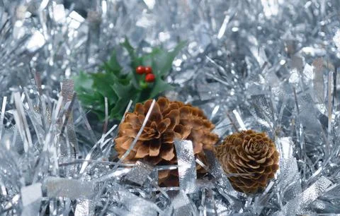 Two natural pine cones and green holly with red berries resting on shiny si.. Stock Photos