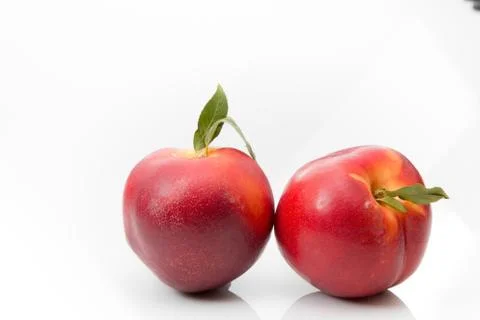 Two nectarines on a white background. Stock Photos