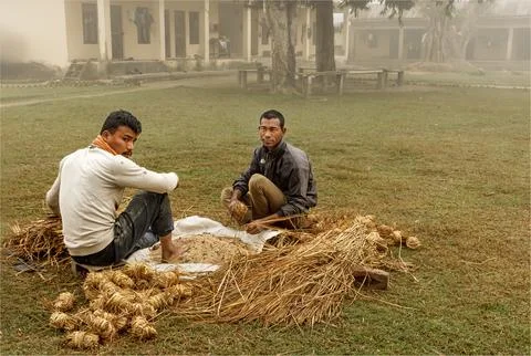 Two Nepalese men preparing fooe for the elephants in the Elephant Breeding .. Foto stock