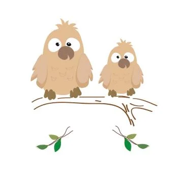Two nestling owls Stock Illustration