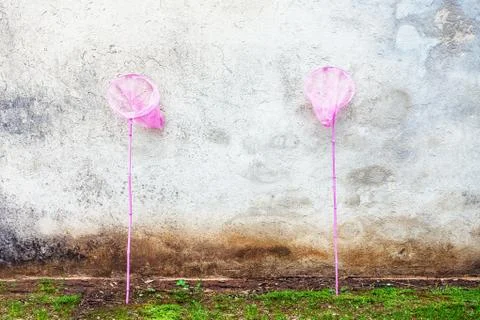 Two nets for butterflies Stock Photos