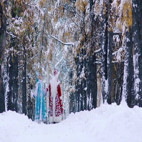 Two New Year characters walking in winter forest Stock-Footage 69703069