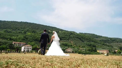 Two newlyweds walking in a wheat field. Stock Footage 60851055