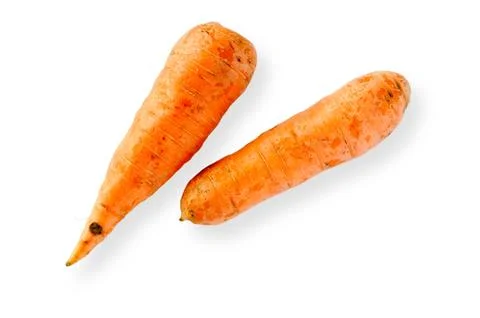 Two nice carrots 写真素材